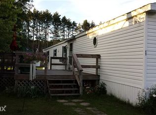 49 Greensboro Ct, Reed City, MI 49677