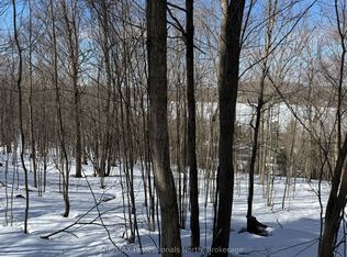 22 Walpole St W, Huntsville, ON P1H1V3