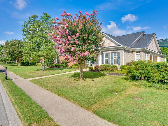 3rd image of 241 Horse Creek Dr