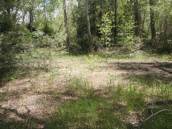 5th image of Mountian Trout Ln