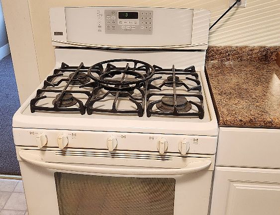 Convection gas stove.