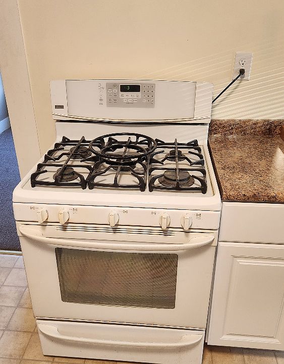 Convection gas stove.