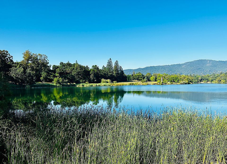 Vasona