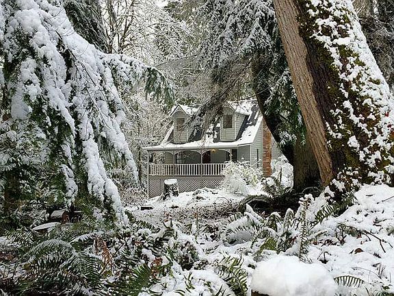 Winter Snow From Road