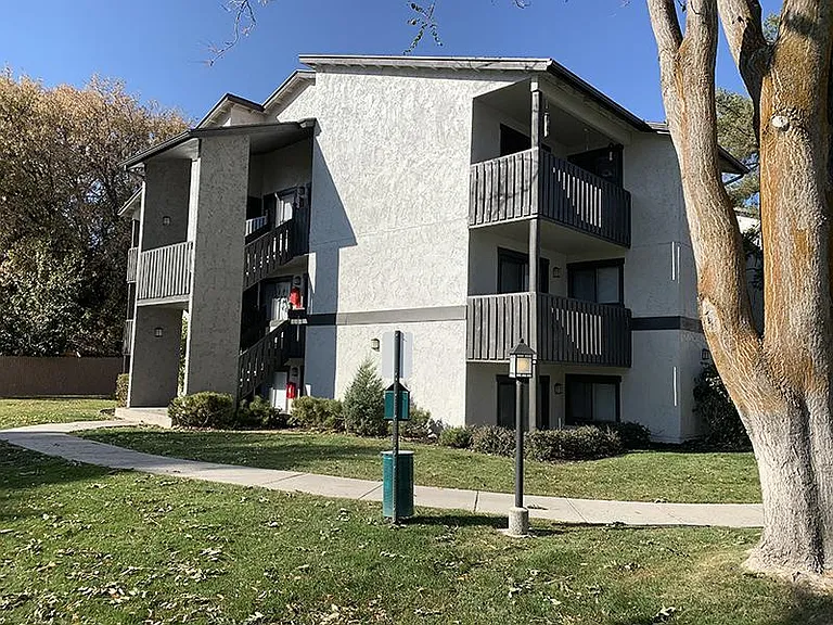 Elmwood — Photo 8