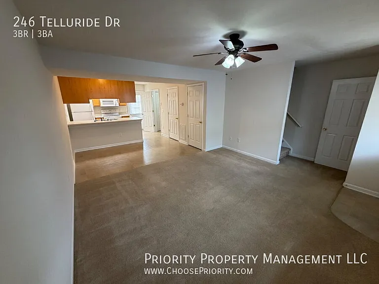 246 Telluride Dr — Photo 3