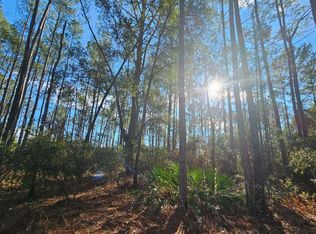 12th Terrace Lots #9-13, Live Oak, FL 32060