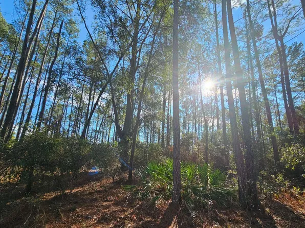 12th Terrace Lots #9-13, Live Oak, FL 32060