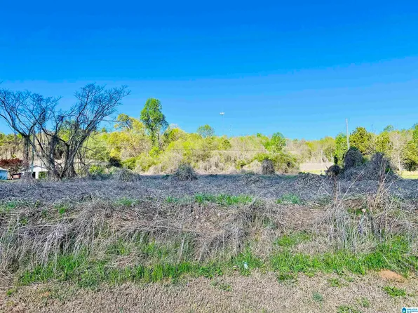 0 State Highway 79, Blountsville, AL 35031