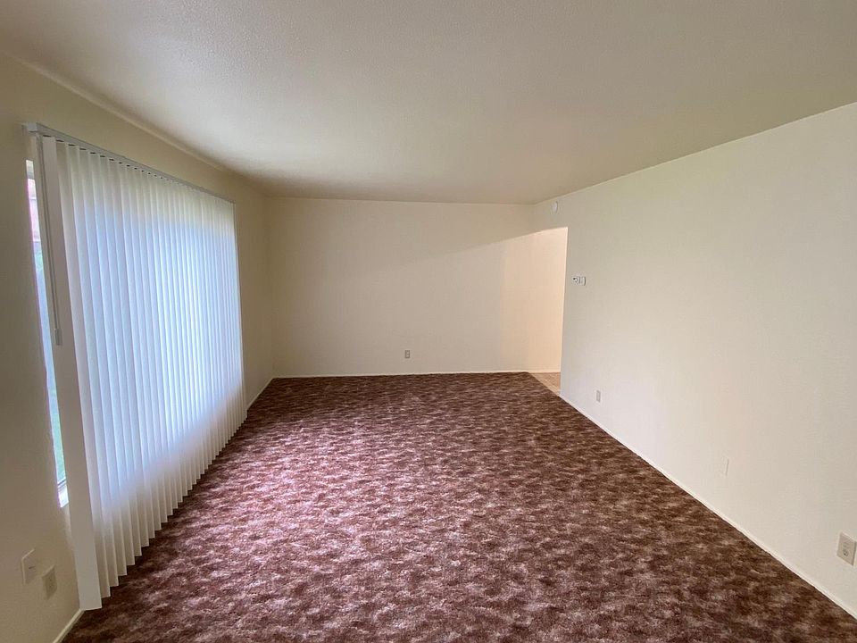 Long living room with new carpet