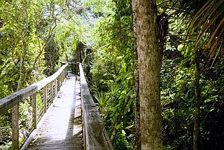Nature Walk_08152019