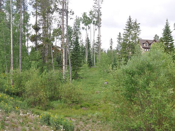 3rd image of 515 Forest Trl