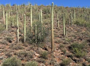 42524 N Fleming Springs Rd, Cave Creek, AZ 85331