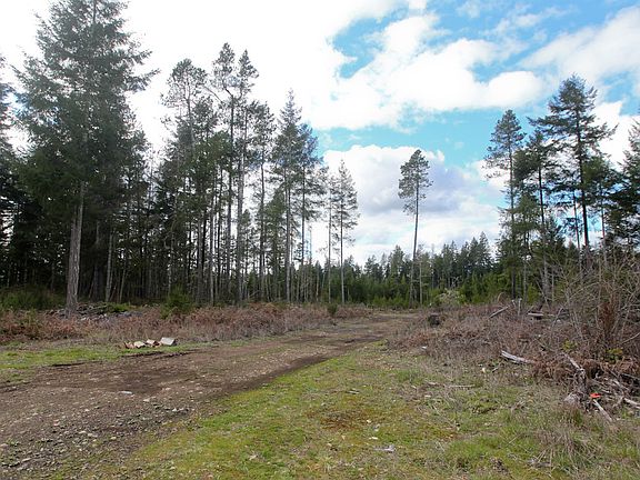 3rd image of 341 W Crooked Pine Ln