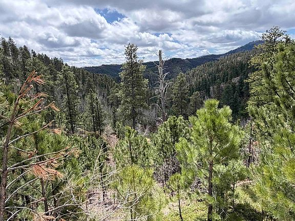 4th image of Aspen Creek Dr