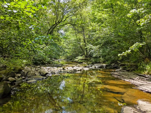 Big Spring Rd, Oneida, TN 37841