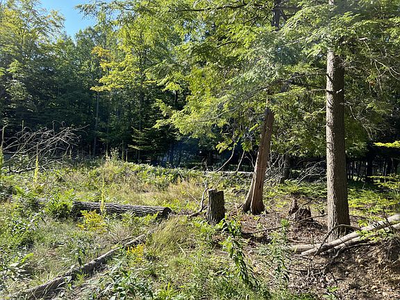 3rd image of 10204 W Munro Lake Dr