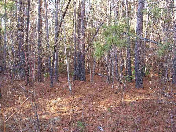 3rd image of 0 Summer Creek Trl Lot 4 & 5