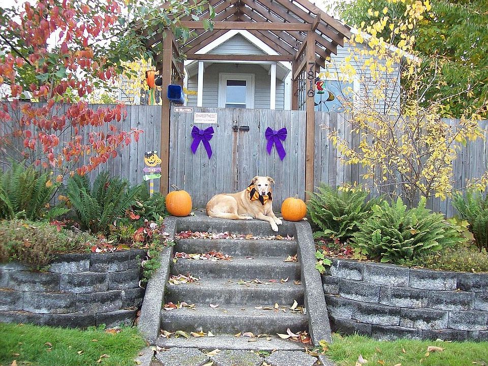 Love our house!