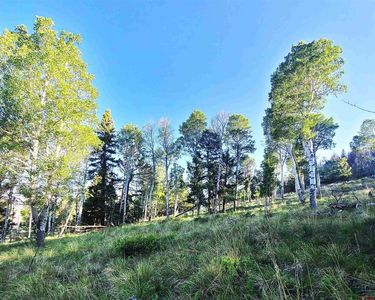 284 Kebler Trail, Powderhorn, CO, 81243