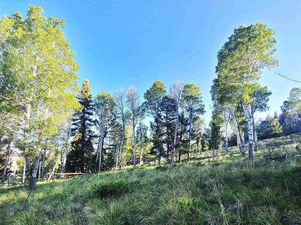 284 Kebler Trail, Powderhorn, CO 81243
