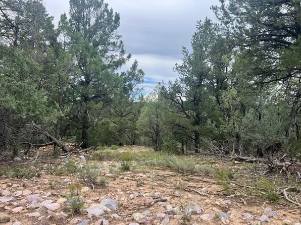 8-A-8 Talavera Ln #B, Tierra Amarilla, NM 87575