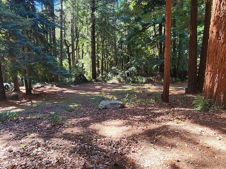 19901 Briceland Rd — Photo 26