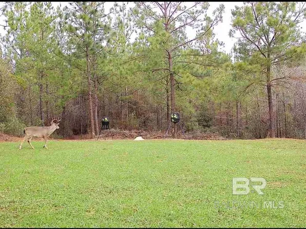 58979 Jack Springs Rd, Perdido, AL 36562