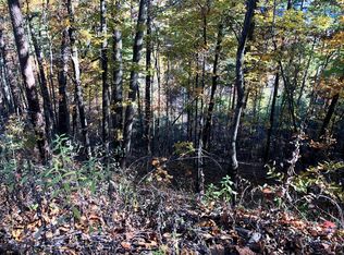 Fox View Rd, Sevierville, TN 37876