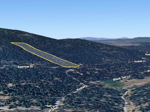 Nka Kodiak Ln #9, Bonanza, OR 97623