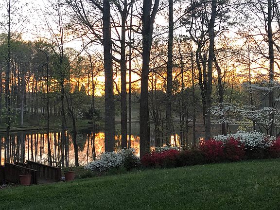 Azaleas in the spring
