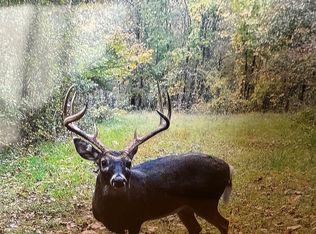 Azotus Rd LOT WP001, Golconda, IL 62938