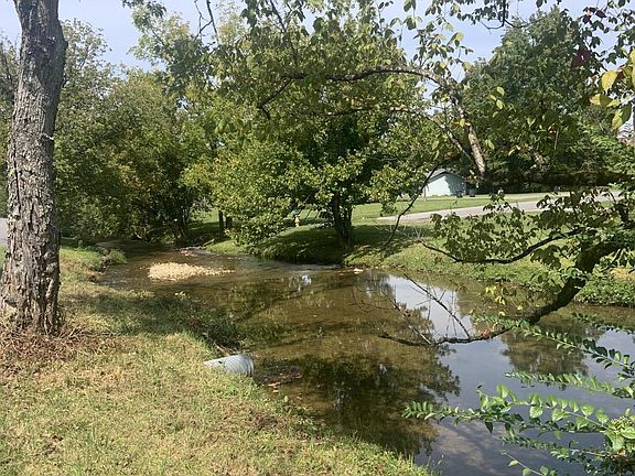 5th image of 2824 Willa View Dr