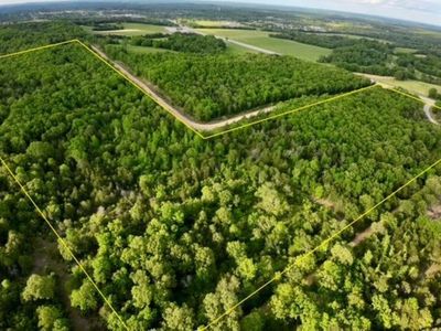 (Undisclosed Address), Cave City, AR, 72521