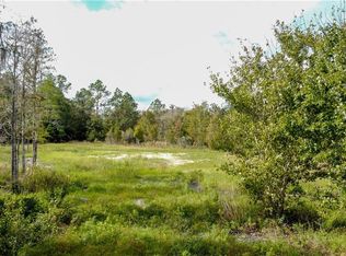 Backland Path Rd, Polk city, FL 33868