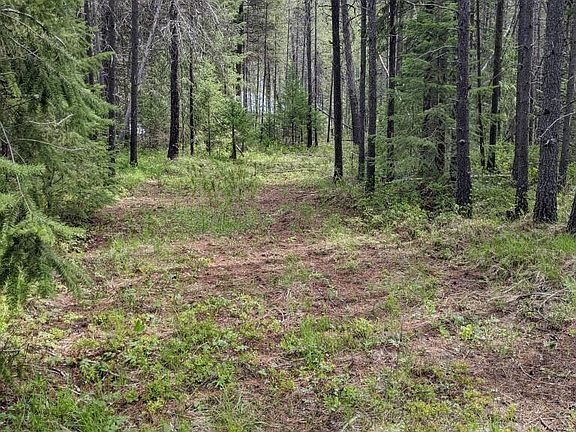 2nd image of 665 Wakena Ln
