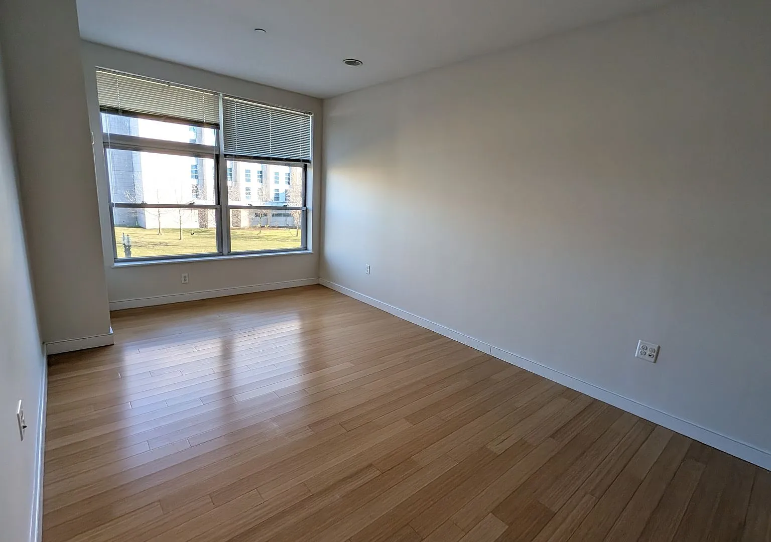 Bright, Renovated 1-bed in the South End — Photo 3