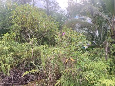 King Kamehameha Blvd Lot 3, Pahoa, HI, 96778