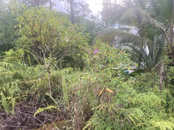 King Kamehameha Blvd Lot 3, Pahoa, HI 96778