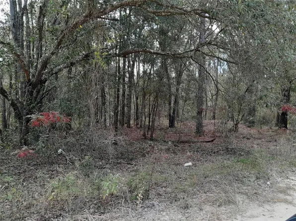 12260 NE 83rd Ln, Bronson, FL 32621