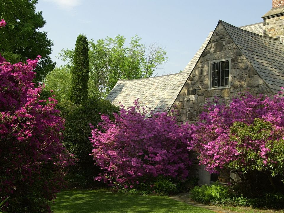 House in spring 