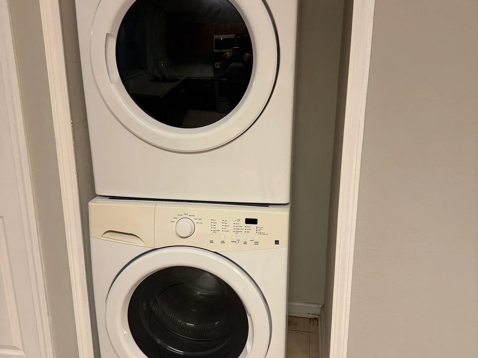 3 bed, 1335 sqft, $1,500 — Photo 3