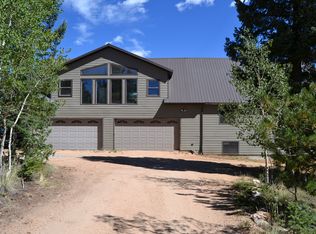 106 Ridge Ln, Bailey, CO 80421