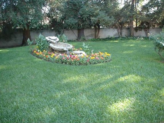 Yard/Grass Area