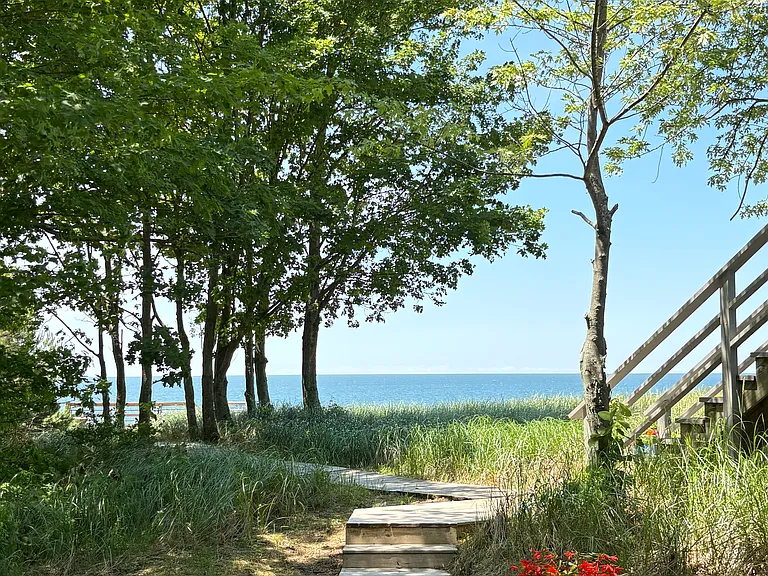 11395 Lakeshore Dr — Photo 3