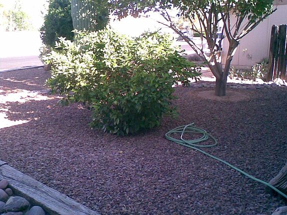 5th image of 1704 W Plana Ave