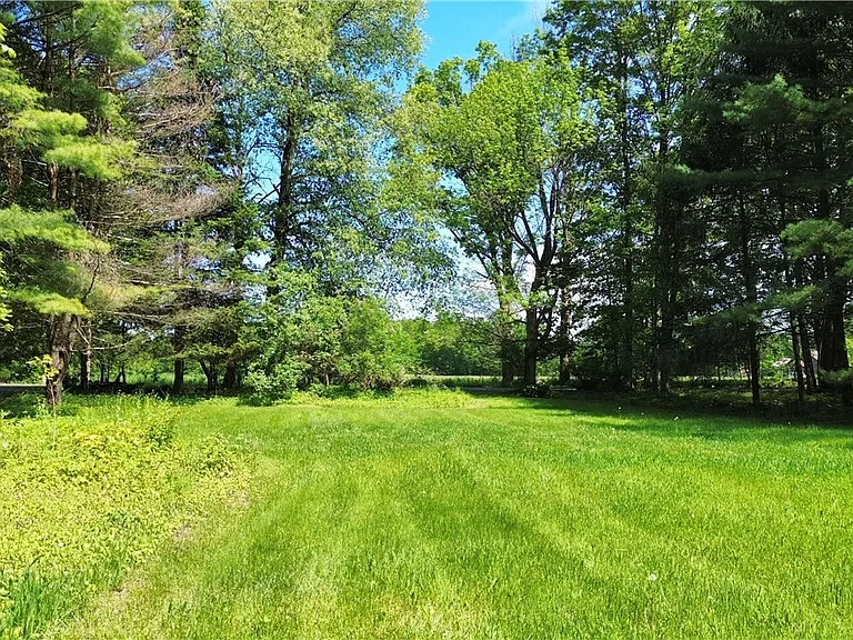 7481 Hoffman Rd — Photo 34