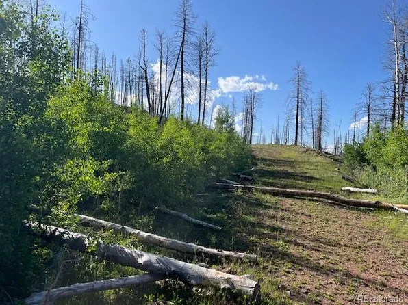 Lot 835 Slaoui Place, Fort Garland, CO 81133