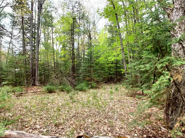 W Shore Dr, Millersburg, MI 49759