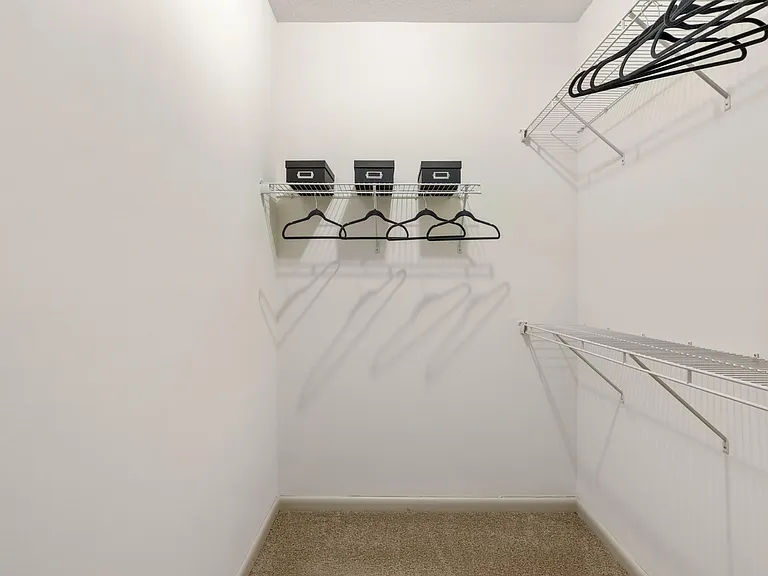 Legacy Renovated Home - Walk-in Closet